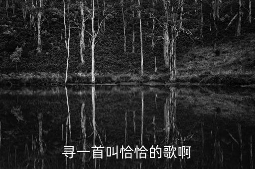 寻一首叫恰恰的歌啊
