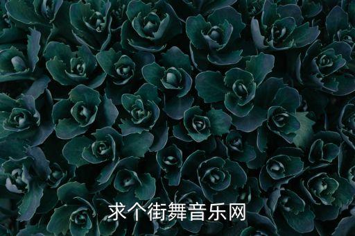 求个街舞音乐网