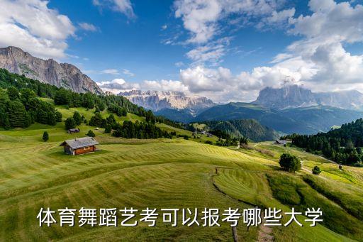 体育舞蹈艺考可以报考哪些大学