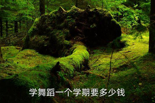 江华舞蹈学校学费多少，江阴学一首舞蹈要多少钱