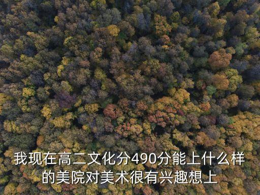 我现在高二文化分490分能上什么样的美院对美术很有兴趣想上