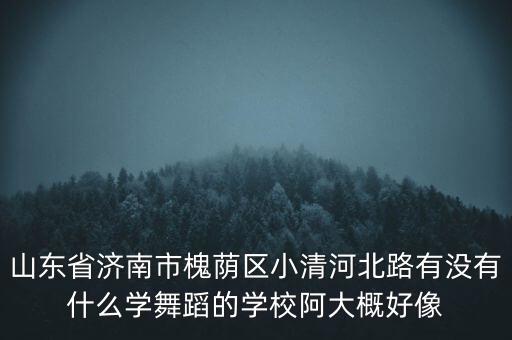 山东青春舞蹈学校官网，科宾布鲁有女朋友吗