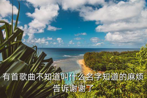 有首歌曲不知道叫什么名字知道的麻烦告诉谢谢了