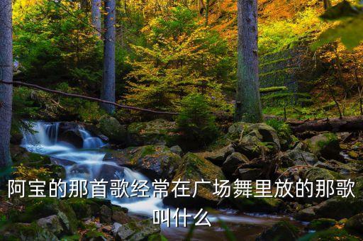 阿宝的那首歌经常在广场舞里放的那歌叫什么