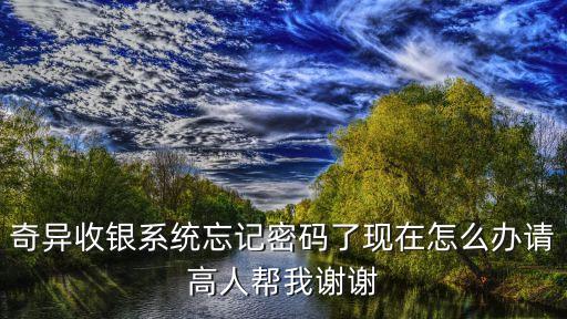 奇异收银系统忘记密码了现在怎么办请高人帮我谢谢