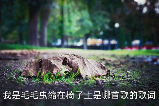我是毛毛虫缩在椅子上是哪首歌的歌词