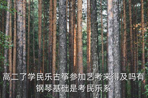 高二了学民乐古筝参加艺考来得及吗有钢琴基础是考民乐系