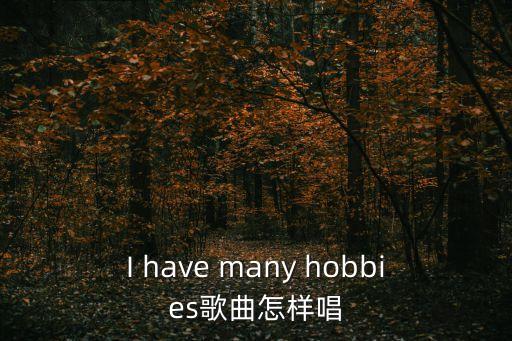 I have many hobbies歌曲怎样唱