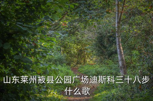 山东莱州掖县公园广场迪斯科三十八步 什么歌