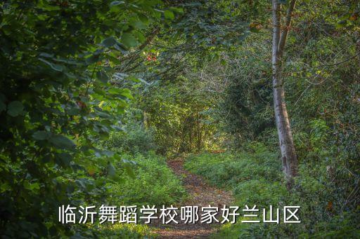 临沂舞蹈学校哪家好兰山区