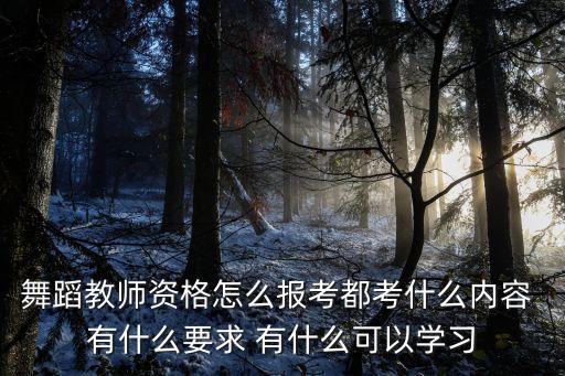 舞蹈教师资格怎么报考都考什么内容 有什么要求 有什么可以学习