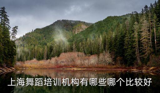 上海舞蹈培训机构有哪些哪个比较好