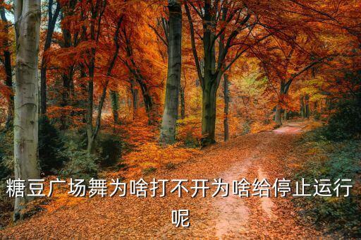 糖豆广场舞为啥打不开为啥给停止运行呢