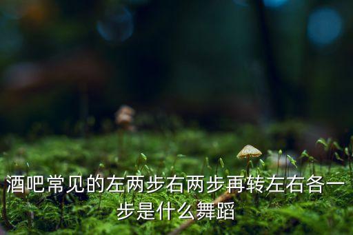 什么是二步舞，平步是什么舞