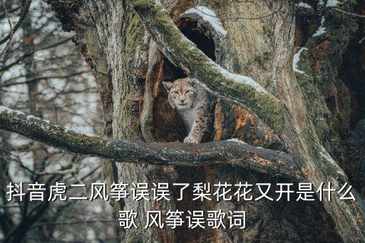 风中舞舞了梨花花又开是什么歌，抖音虎二风筝误误了梨花花又开是什么歌 风筝误歌词