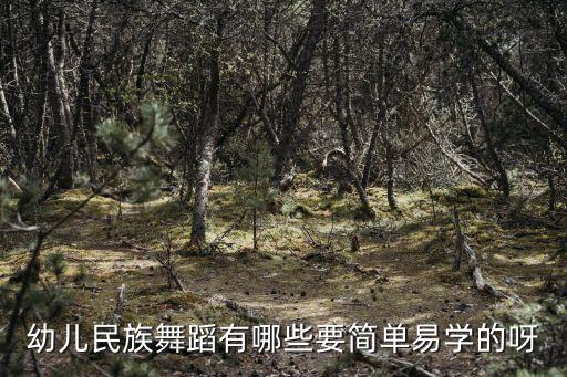 幼儿民族舞蹈有哪些要简单易学的呀