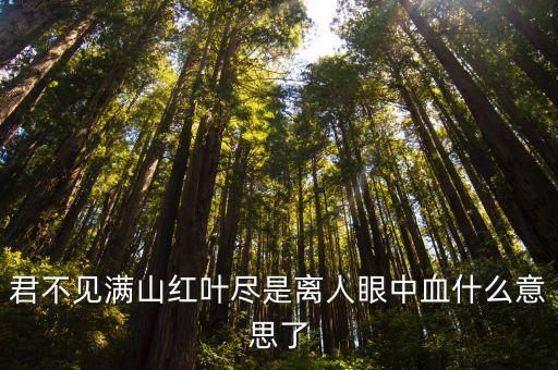 又见山里红什么意思，君不见满山红叶尽是离人眼中血什么意思了