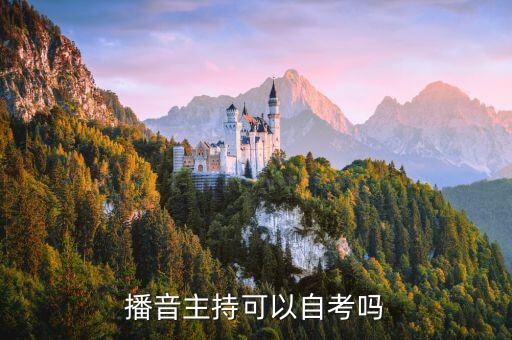自学播音主持可以参加艺考吗男生，播音主持专业可以自考吗