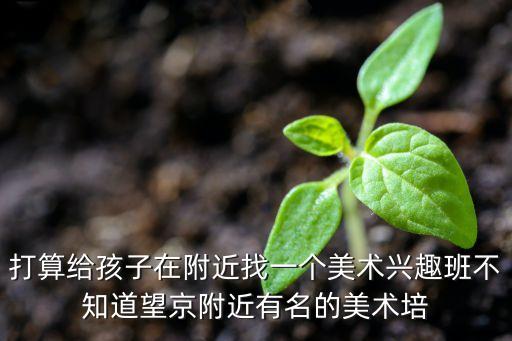 打算给孩子在附近找一个美术兴趣班不知道望京附近有名的美术培