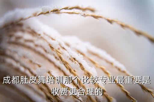 成都肚皮舞多少钱，弱弱地问一句在成都学泰拳价格如何