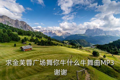 求金芙蓉广场舞你牛什么牛舞曲MP3 谢谢