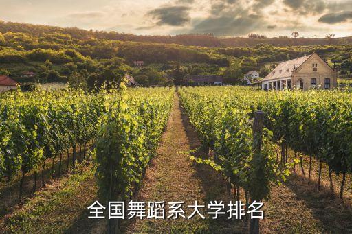 全国舞蹈系大学排名