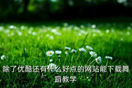 除了优酷还有什么好点的网站能下载舞蹈教学