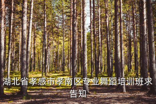 湖北省孝感市孝南区专业舞蹈培训班求告知