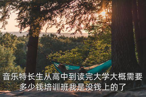 音乐特长生从高中到读完大学大概需要多少钱培训班我是没钱上的了
