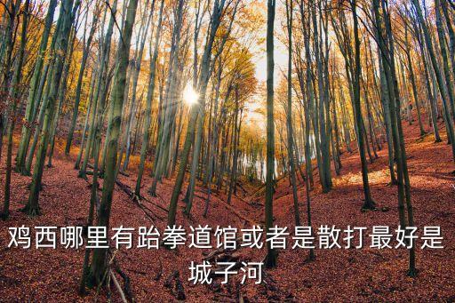 鸡西哪里有跆拳道馆或者是散打最好是城子河