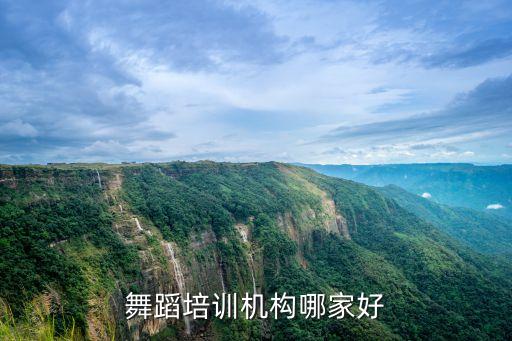 舞蹈培训机构哪家好