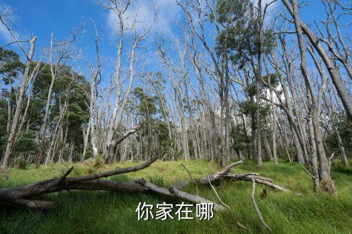 你家在哪