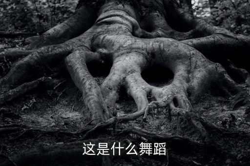 这是什么舞蹈