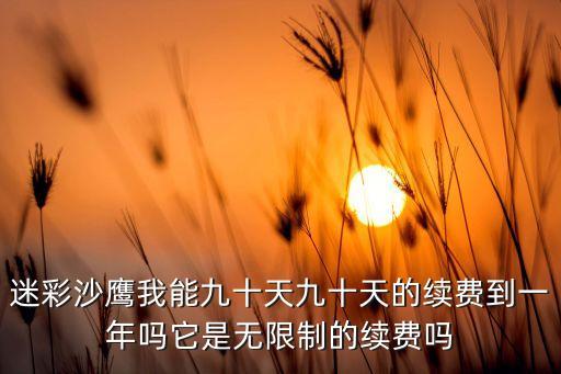 迷彩沙鹰我能九十天九十天的续费到一年吗它是无限制的续费吗