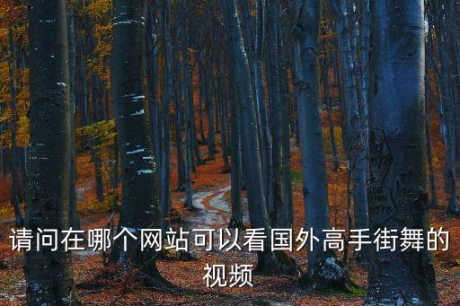 国外街舞视频网有哪些，街舞的好网站说几个