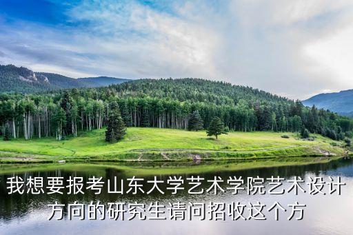 我想要报考山东大学艺术学院艺术设计方向的研究生请问招收这个方