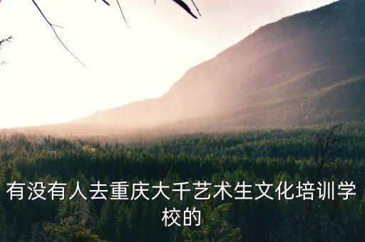 有没有人去重庆大千艺术生文化培训学校的