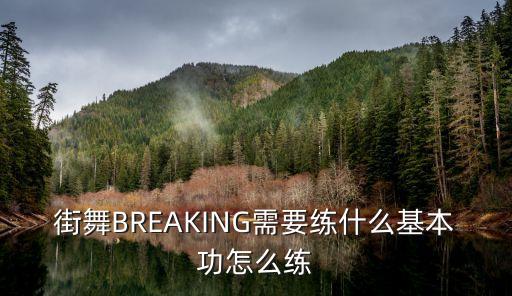 街舞BREAKING需要练什么基本功怎么练