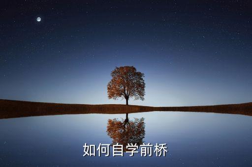 如何自学前桥