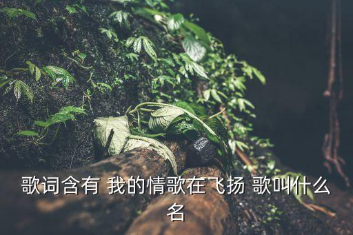 我的歌在飞扬是什么歌，有一首女生歌歌词我的心在飞扬永远在飘香是什么歌