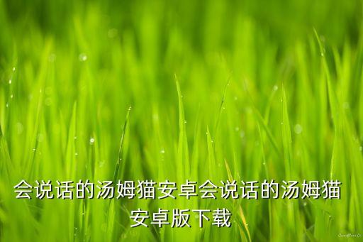 会说话的汤姆猫安卓会说话的汤姆猫 安卓版下载