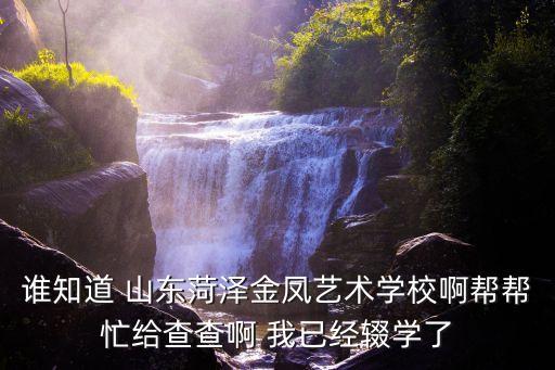 谁知道 山东菏泽金凤艺术学校啊帮帮忙给查查啊 我已经辍学了