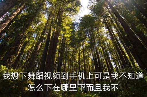 我想下舞蹈视频到手机上可是我不知道怎么下在哪里下而且我不