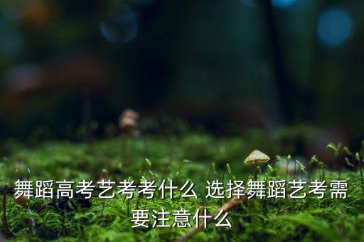 舞蹈高考艺考考什么 选择舞蹈艺考需要注意什么