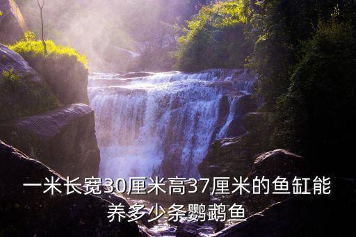 一米缸养多少条莺舞鱼，1米缸养几条鹦鹉鱼