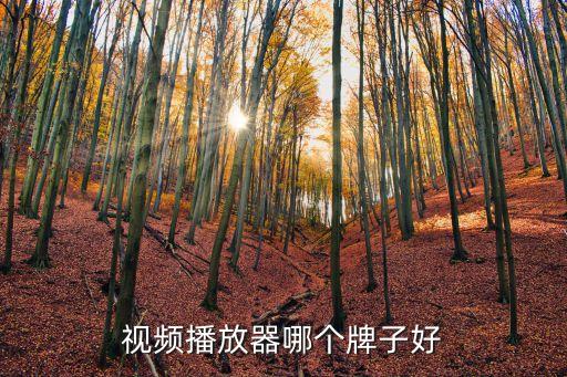广场舞视频播放器牌子排名，什么播放器可以用来跳广场舞
