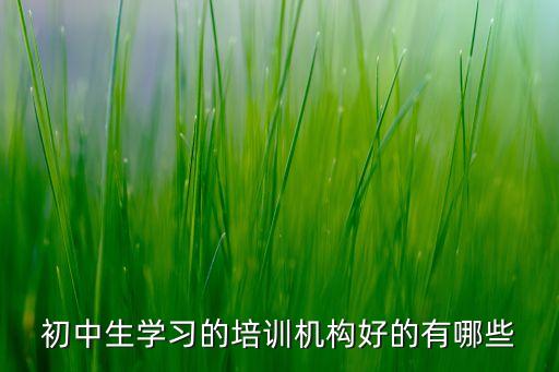 初中生学习的培训机构好的有哪些