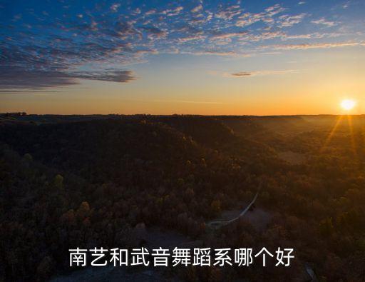 南艺舞蹈专业怎么样，南艺和武音舞蹈系哪个好