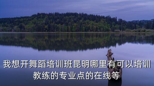 我想开舞蹈培训班昆明哪里有可以培训教练的专业点的在线等