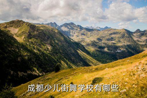 成都少儿街舞学校有哪些